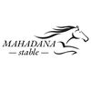 mahadana_stable_solo