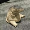 joel.xdxd33