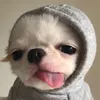 boo9127