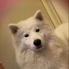 melmelodyyyyandfuddershy