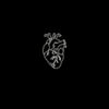 liss_18338
