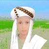 abdulmujel
