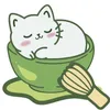 jooypet5