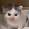 khanghpd1