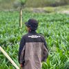 sawit_mania3