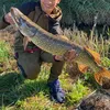bing_fishing