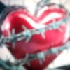 user8879332240044