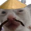 brbad.cat