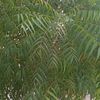 z82246110@gmail.com