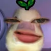 tegiacusau0