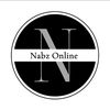 earnwithnabz