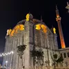 leyla68174