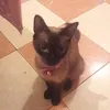 moroocinho48
