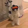 abby.jedynowicz