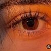 noorqeshta777