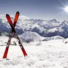 xagorejoqedeta2829