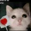 bobjimmy147