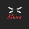 Musca
