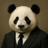 pandrrandom