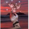 md.obaidul2914
