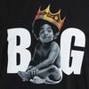 dwf_notorious