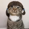 Cora