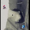 aung9897