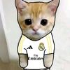 yi_heng24