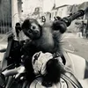 duartd7