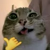 tmmcs