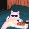 unabomber202546