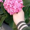 user7441020815132