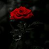nabin.magar746