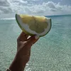 eatexotica