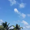 jacksonjosdesouza2