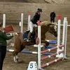 heddis41