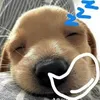 phi_ngy_thng