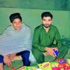 tiktok.comweek.bahi