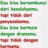 armanfls28