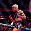 fight_content