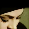 .ninsar