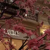 blossomvax