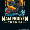 namnguynchanna