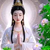 phanvangiang1234
