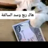 sara.com800