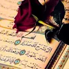 user1250615191546