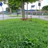 user094141563