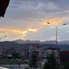 enes_ard0