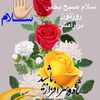 raqi.golami50