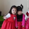 lusiaspamm4